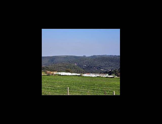 473HA FARM FOR SALE IN EAST LONDON RURAL